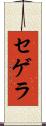 セゲラ Scroll