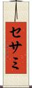 セサミ Scroll
