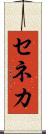 セネカ Scroll
