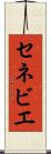 セネビエ Scroll