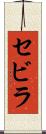 セビラ Scroll
