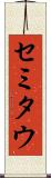 セミタウ Scroll