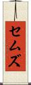 セムズ Scroll