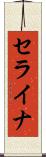 セライナ Scroll