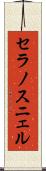 セラノスニェル Scroll