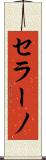 セラーノ Scroll