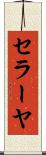 セラーヤ Scroll