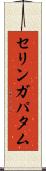 セリンガパタム Scroll