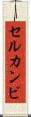 セルカンビ Scroll