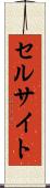 セルサイト Scroll