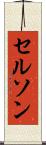 Celson Scroll