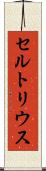 セルトリウス Scroll