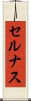 セルナス Scroll