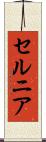 セルニア Scroll