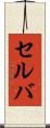 セルバ Scroll