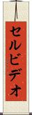 セル・ビデオ Scroll