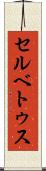 セルベトゥス Scroll
