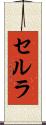 セルラ Scroll