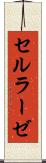 セルラーゼ Scroll