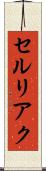 セルリアク Scroll
