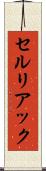 セルリアック Scroll