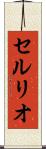 セルリオ Scroll