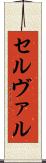 セルヴァル Scroll
