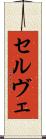 セルヴェ Scroll