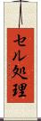 セル処理 Scroll
