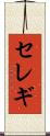 セレギ Scroll