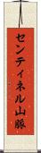 センティネル山脈 Scroll