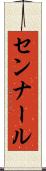 センナール Scroll