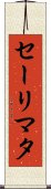 Salimata Scroll