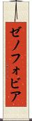 ゼノフォビア Scroll