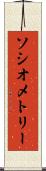 ソシオメトリー Scroll