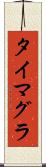 タイマグラ Scroll