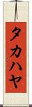 タカハヤ Scroll