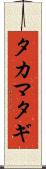 タカマタギ Scroll