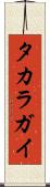 タカラガイ Scroll