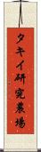 タキイ研究農場 Scroll