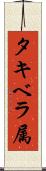 タキベラ属 Scroll
