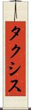 タクシス Scroll