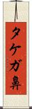 タケガ鼻 Scroll