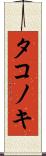 タコノキ Scroll