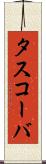 タスコーバ Scroll