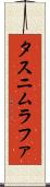 Tasnim Rafa Scroll