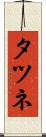 タツネ Scroll
