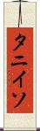 タニイソ Scroll