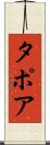 タポア Scroll