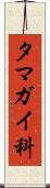 タマガイ科 Scroll